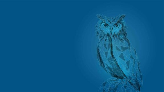 Blue Owl Capital | New Website | Lounge Lizard Worldwide