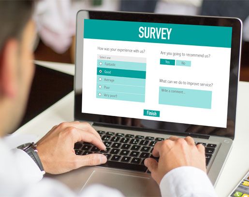 Online Surveys